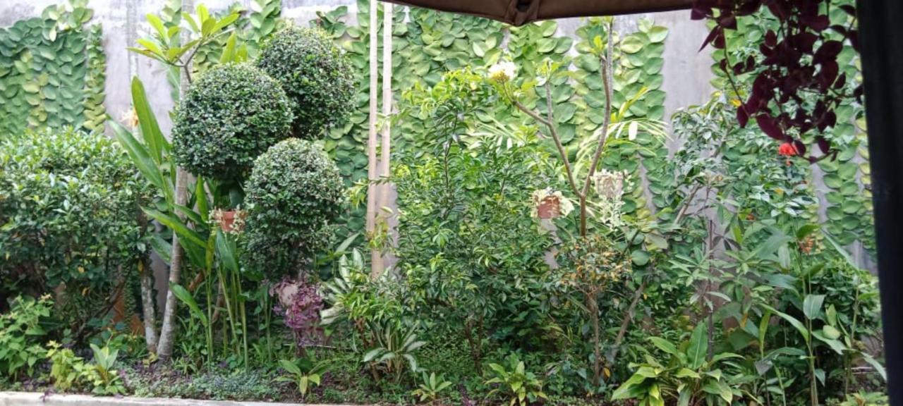 Coliving Bali Sweet Home Kost Lengkap Di Tabanan Kota ภายนอก รูปภาพ