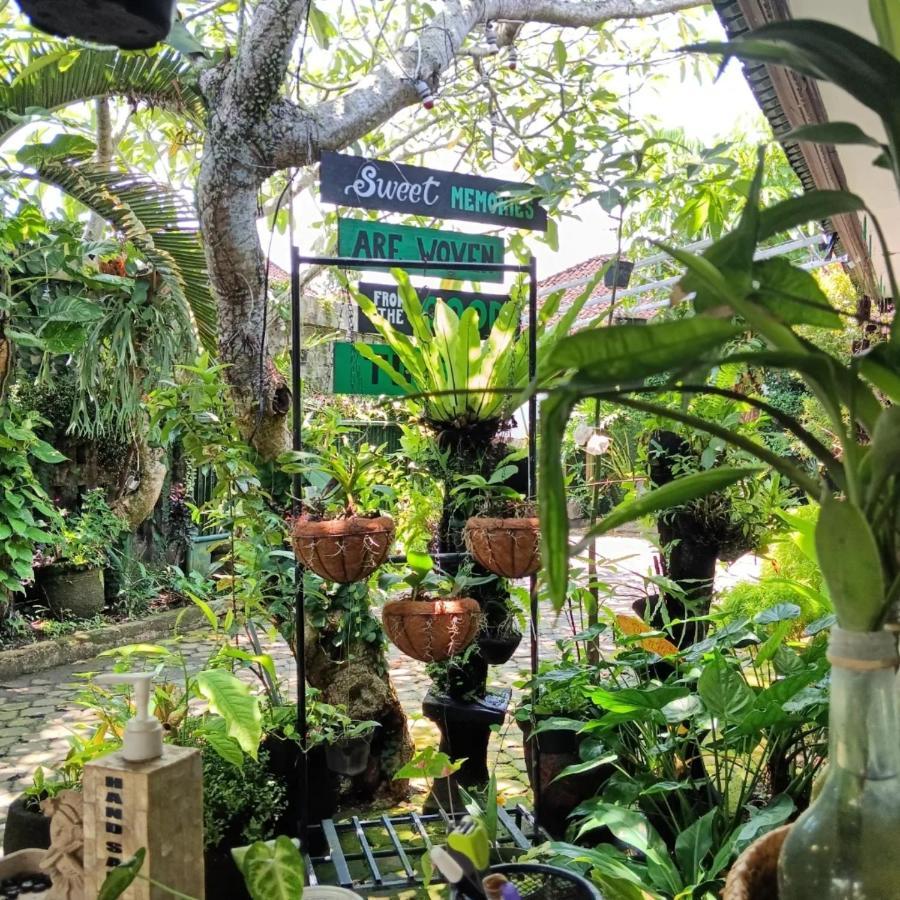 Coliving Bali Sweet Home Kost Lengkap Di Tabanan Kota ภายนอก รูปภาพ