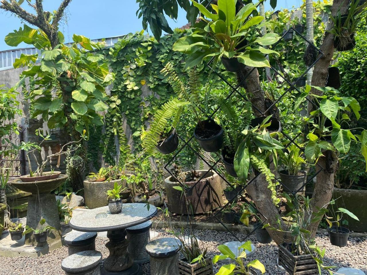 Coliving Bali Sweet Home Kost Lengkap Di Tabanan Kota ภายนอก รูปภาพ