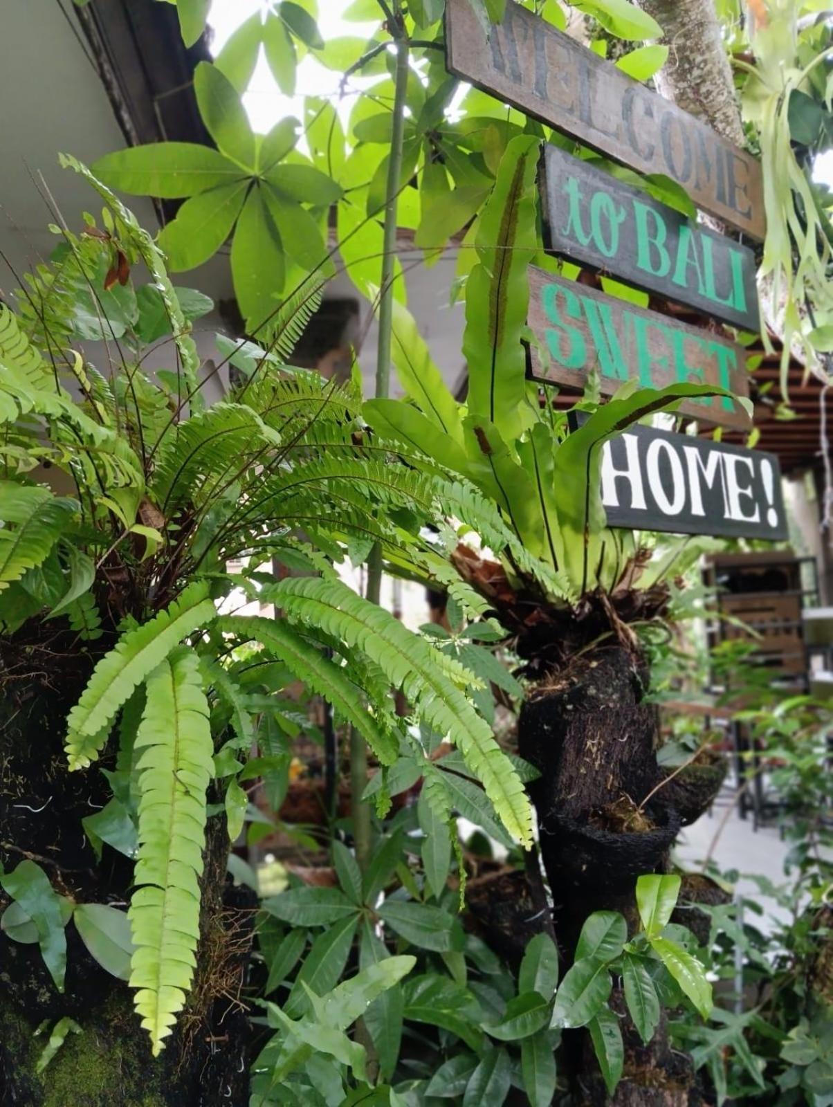 Coliving Bali Sweet Home Kost Lengkap Di Tabanan Kota ภายนอก รูปภาพ